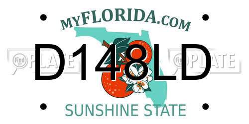 D148LD Florida License Plate