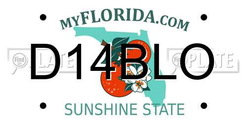D14BLO Florida License Plate
