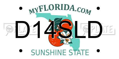 D14SLD Florida License Plate
