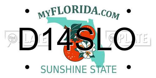 D14SLO Florida License Plate
