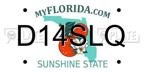 D14SLQ Florida License Plate