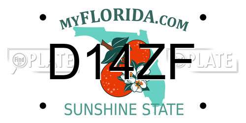 D14ZF Florida License Plate
