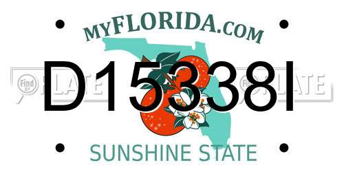D15338I Florida License Plate