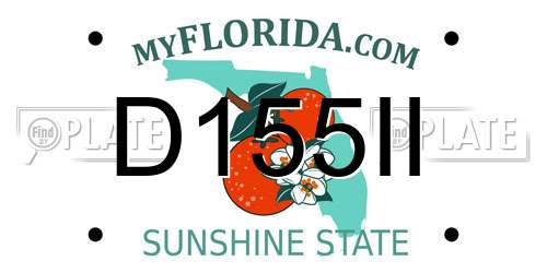 D155II Florida License Plate