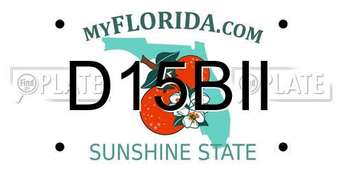 D15BII Florida License Plate