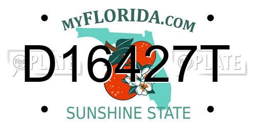 D16427T Florida License Plate