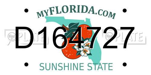 D164727 Florida License Plate