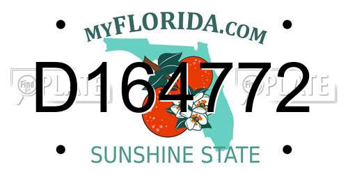 D164772 Florida License Plate