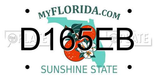 D165EB Florida License Plate