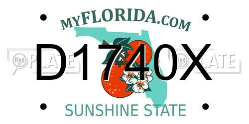 D1740X Florida License Plate