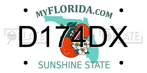 D174DX Florida License Plate