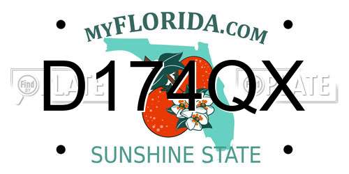 D174QX Florida License Plate