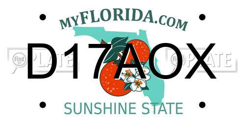 D17AOX Florida License Plate