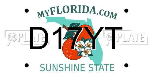 D17YT Florida License Plate