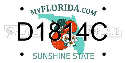 D1814C Florida License Plate
