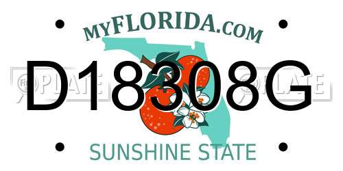 D18308G Florida License Plate