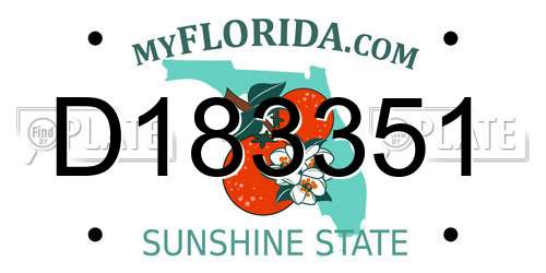 D183351 Florida License Plate