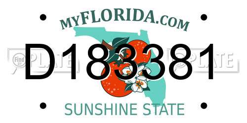 D183381 Florida License Plate
