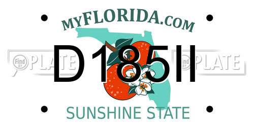 D185II Florida License Plate