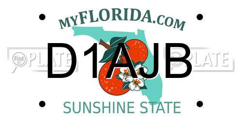 D1AJB Florida License Plate