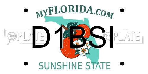 D1BSI Florida License Plate