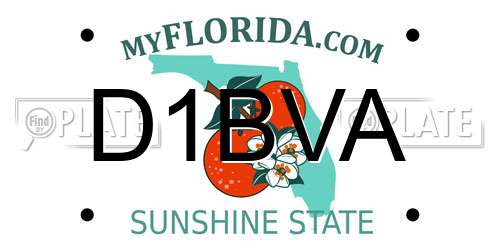 D1BVA Florida License Plate
