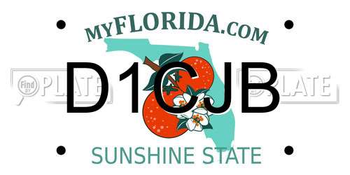 D1CJB Florida License Plate