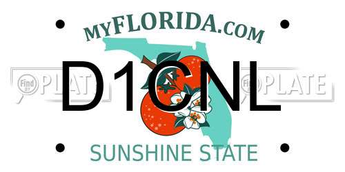 D1CNL Florida License Plate