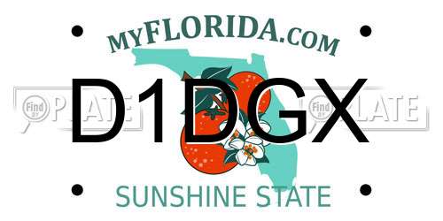 D1DGX Florida License Plate
