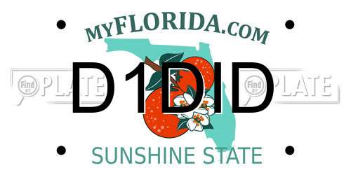 D1DID Florida License Plate