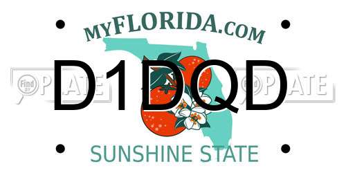 D1DQD Florida License Plate