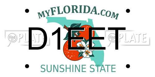 D1EET Florida License Plate