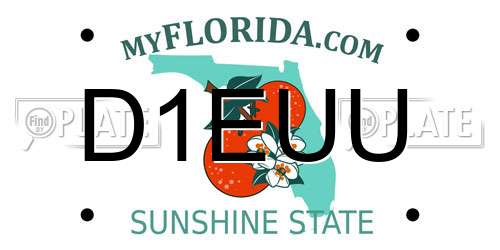 D1EUU Florida License Plate