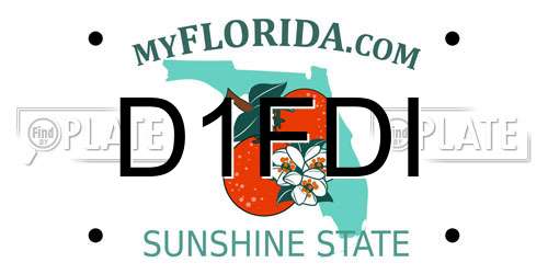 D1FDI Florida License Plate