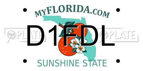 D1FDL Florida License Plate