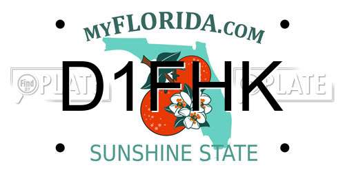 D1FHK Florida License Plate