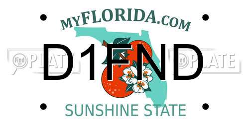 D1FND Florida License Plate