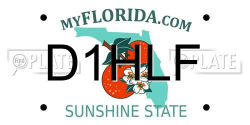 D1HLF Florida License Plate