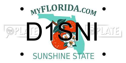 D1SNI Florida License Plate