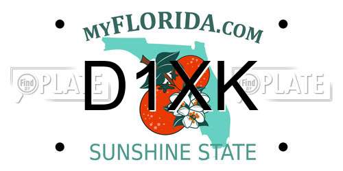 D1XK Florida License Plate