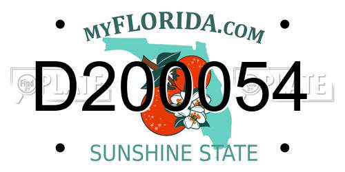 D200054 Florida License Plate