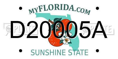 D20005A Florida License Plate