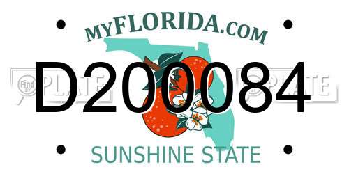 D200084 Florida License Plate