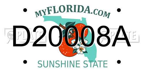D20008A Florida License Plate