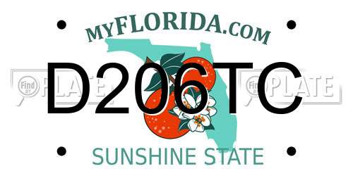 D206TC Florida License Plate