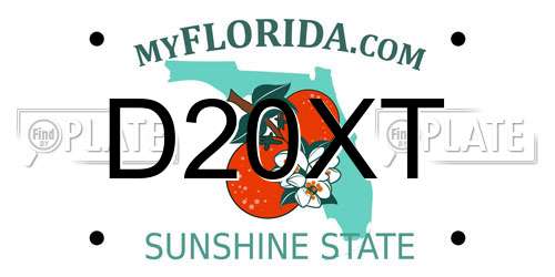 D20XT Florida License Plate