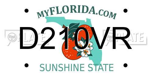 D210VR Florida License Plate