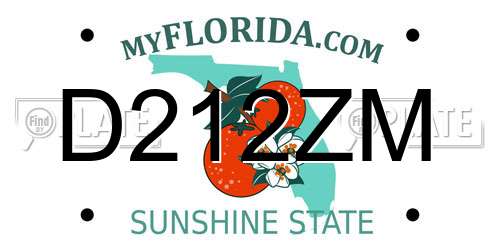 D212ZM Florida License Plate