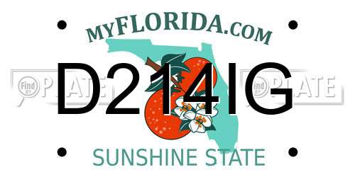 D214IG Florida License Plate