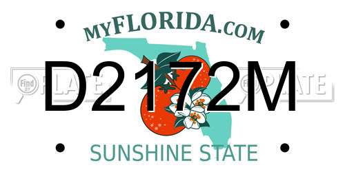 D2172M Florida License Plate